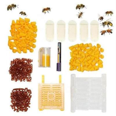 Queen Bee Rearing System Kit Bees Keeping Supplies And