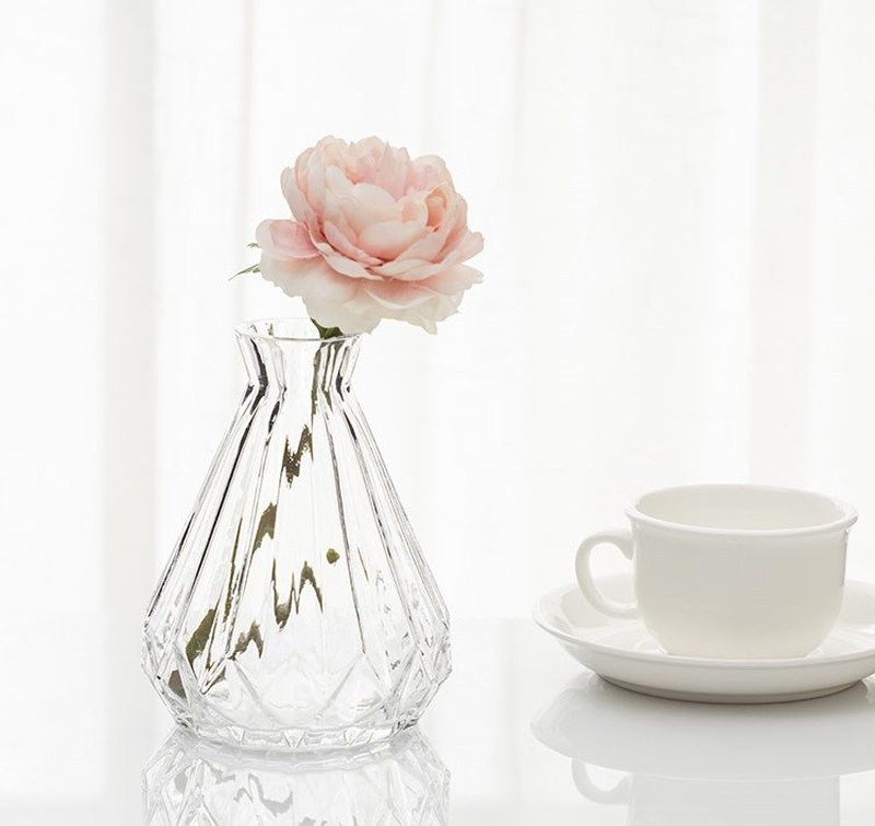 Contracted a flower glass vase transparent hydroponic flower