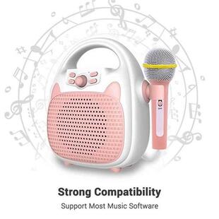 Karaoke Machine Rechargeable Portable Karaoke Speaker with M