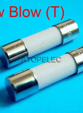 10pcs 5x20mm Ceramic Fuse 5mm x 20mm Slow Blow T  2A/3.15A/4