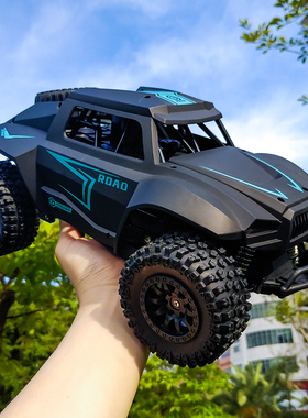 2 RC Car 2.4G Radio Remote Control Cars 15KM/H Off-Road RC M