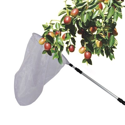 Extendable Butterfly Bee Insect Capture Net Aluminum Alloy P