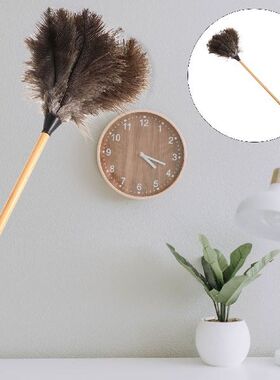 Dustercleaning Brush Dusters Cleaner Tool Hand Handle