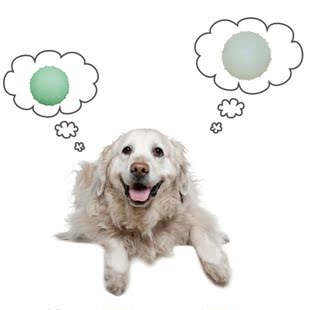 Funny Dog Puppy TPR Rubber Luminous Elastic Ball Tooth Clean