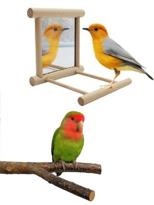 Bird Mirror With Perch Parrots Hanging Cage Wood Stand Toy