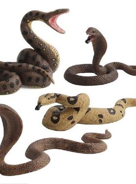 New Style High Quality Educational Science Toy Multiple