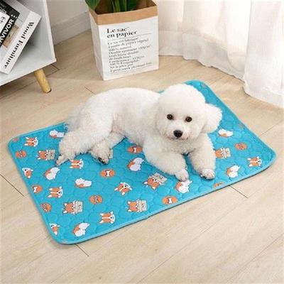 Convenient Leak-Proof Pet Pee Mat Dog Training Mat