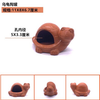 Aquarium landscape mini parrot breeding POTS shrimp escape