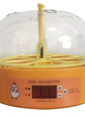 Mini Digital 6 Eggs Incubator Automatic Temperature Brooder