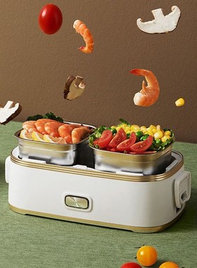 Electric Lunch Box  Rice Cooker Portable Steam Heat Multicoo