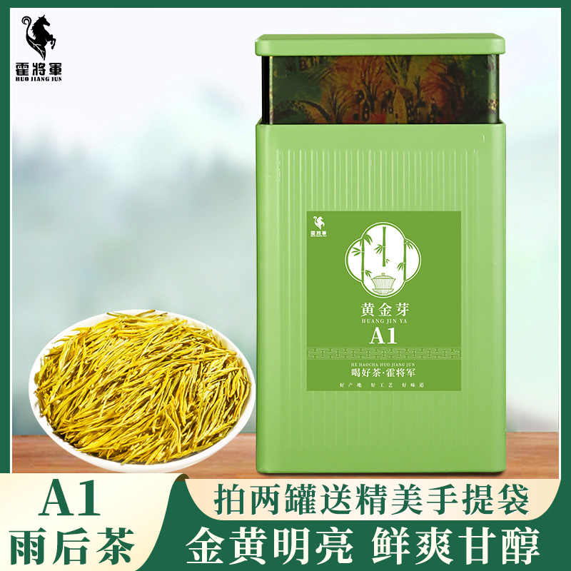 霍将军黄金芽绿茶叶自己喝