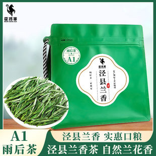 霍将军2025新茶叶绿茶试喝泾县兰香A1A2A3A4A5袋装正宗安徽汀溪