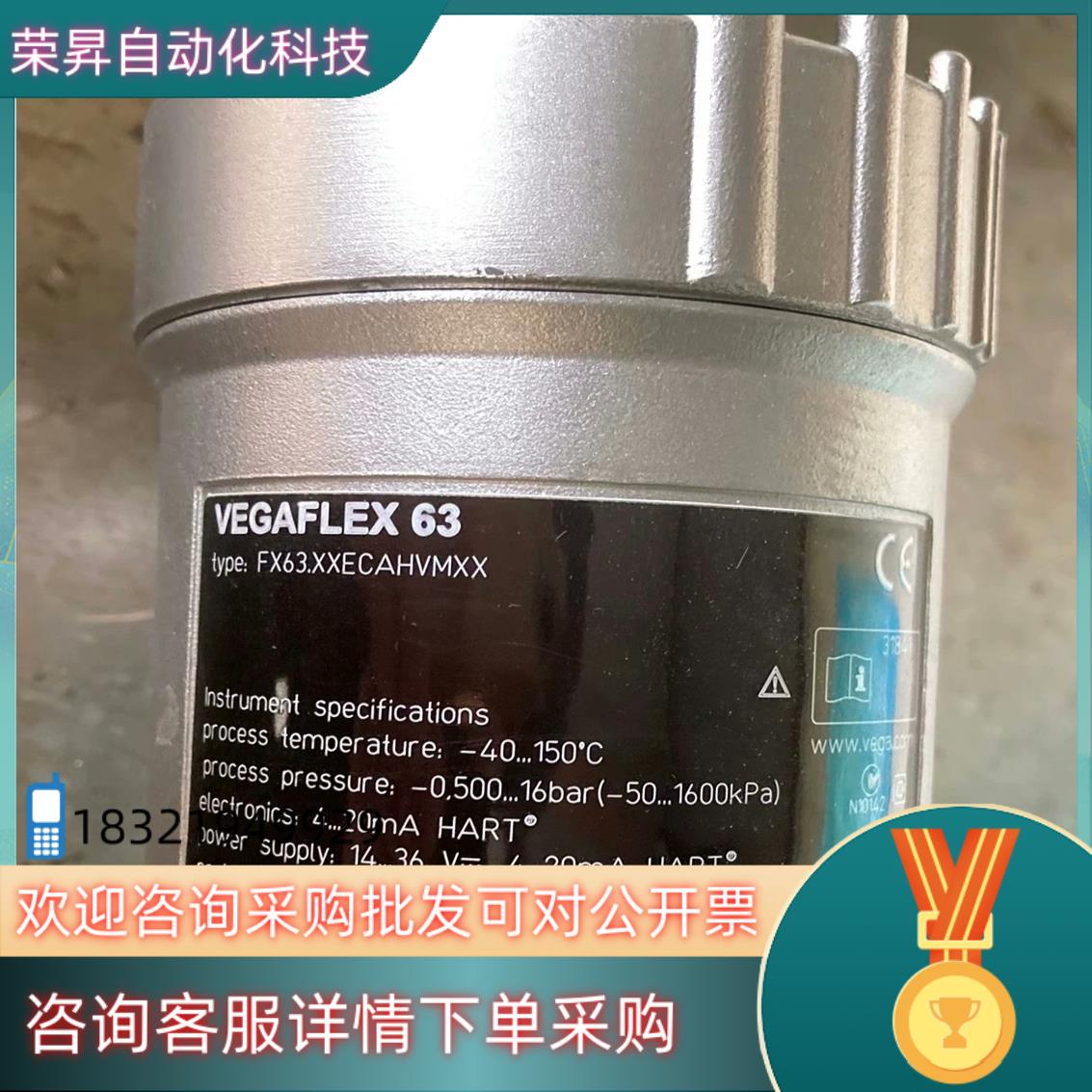 德国罗斯蒙特液位仪VEGAFLEX 63