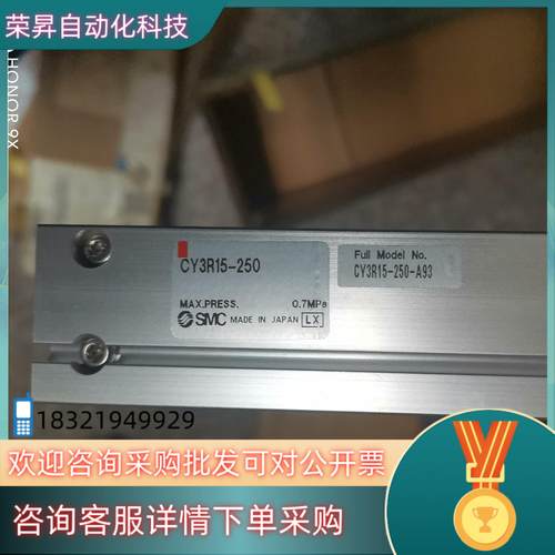现货SMC原装 CY3R15-250-A93