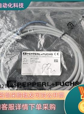 现货德国倍加福CNB15-F64-E2货号310470处理一条单