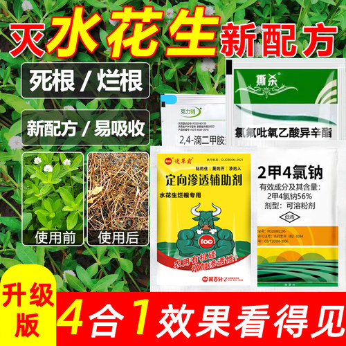 氯氟吡氧乙酸水花生专用烂根剂空心莲子斩草除根强力除草剂套餐