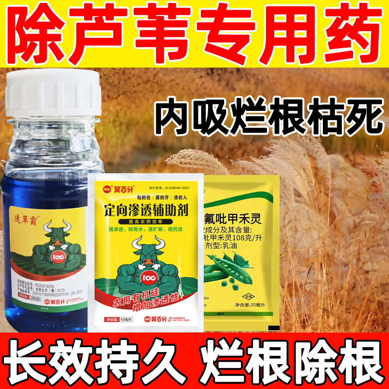 芦苇除草剂尖叶草禾本科茅草丝毛草杀草烂根剂恶性芦苇专用药正品