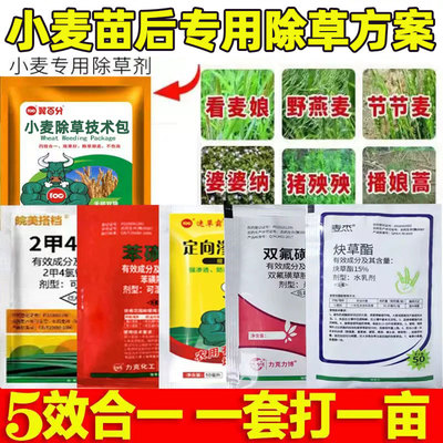 小麦燕麦禾阔双除死草烂根除草剂