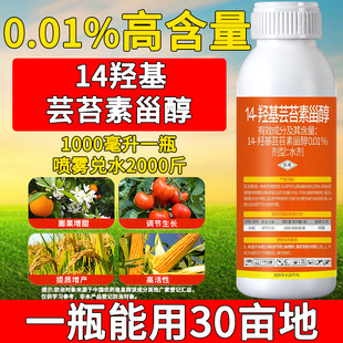 14羟基芸苔素甾醇解药害保花保果芸苔素内脂叶面肥植物生长调节剂