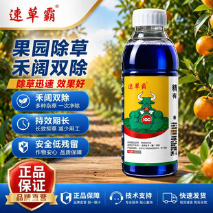 速草霸精草铵膦铵盐除草烂根剂正品高浓度草铵磷强力烂根正品批发