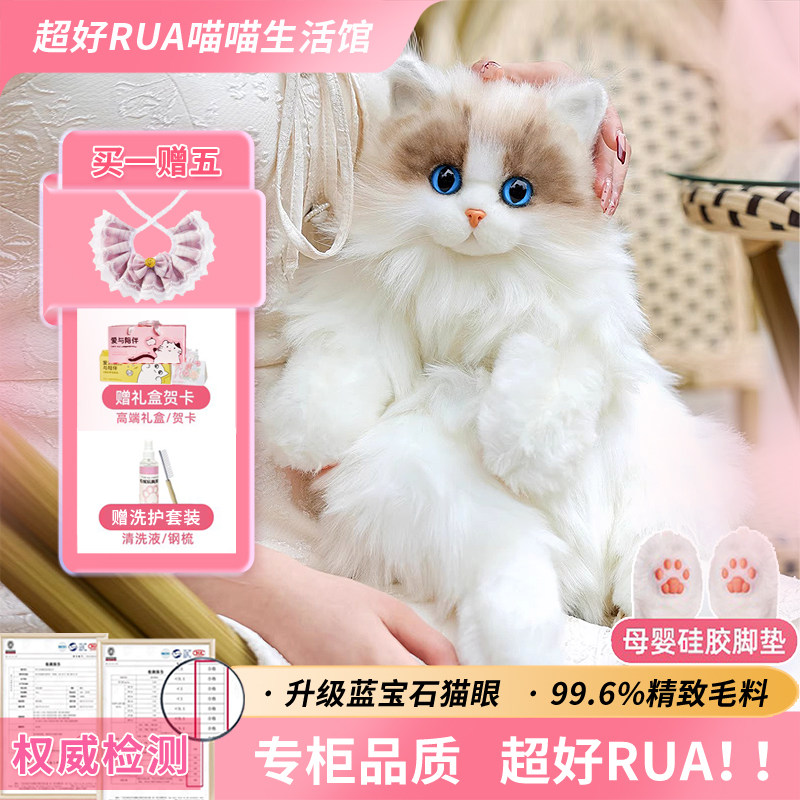 仿真布偶猫娃娃背包玩偶猫咪毛绒公仔女生双肩包玩具儿童生日礼物