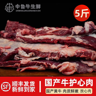 黄牛罗肌肉护心肉蝴蝶腩厚裙肉清真红烧冷冻牛腩好生鲜带筋牛肉