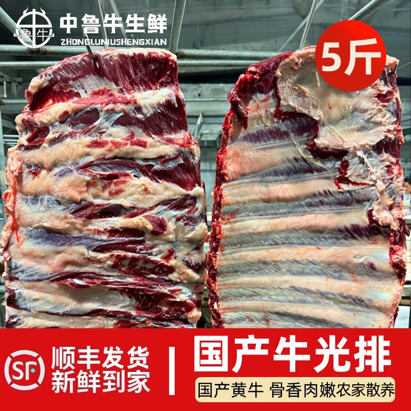 5斤清真牛排骨光排肋排国产山东黄牛带骨冷冻生牛肉煲清炖手把肉