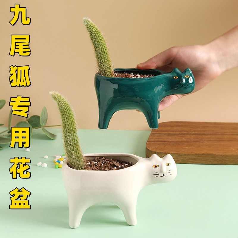 九尾狐专用花盆创意多肉陶瓷可爱猫咪尾巴立体动物猴尾柱仙人掌盆