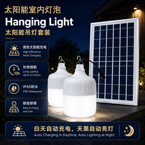 一拖二家用超亮LED球泡灯免布线
