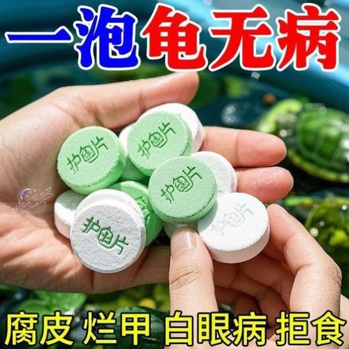 护龟片乌龟消毒片专治腐皮烂甲白眼病厌食净化水质正品宠物消毒1