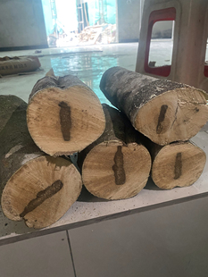 天然奇楠沉香原木拍下不换规格20cm40cm80cm一整颗原树做饰品