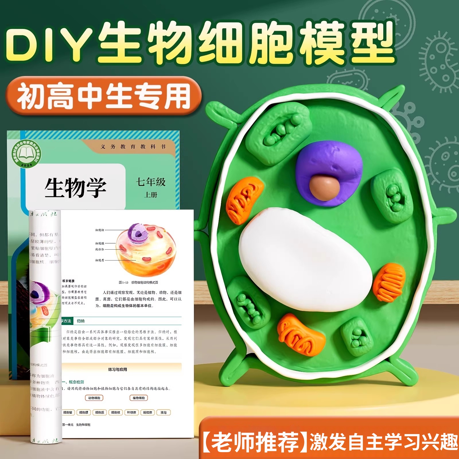 初高中动植物细胞模型黏土手工diy制作材料包七年级初一学生生物作业真核细菌橡皮泥