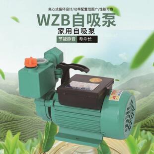 抽水泵 直销 高扬程太阳能增压泵 单相WZB 井水自吸泵 自吸泵