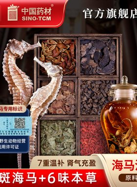 冯了性三斑海马中药材泡酒一公一母海马干男性滋补养生中草药大全