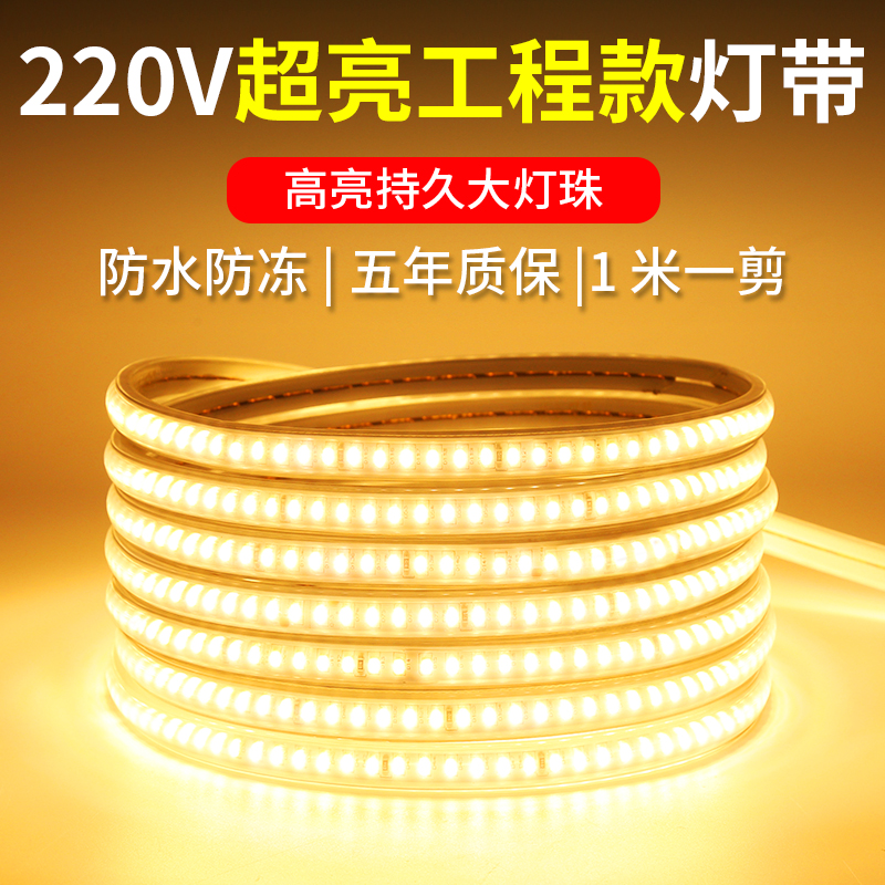 220v户外防水超亮LED灯带软灯条工程景观亮化室内吊顶酒店外墙