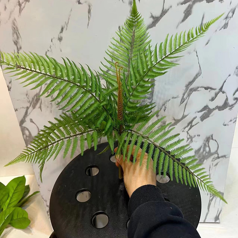 仿真蕨叶波斯草仿真蕨类植物蕨草手感软胶植物墙造景配材桫椤蕨叶