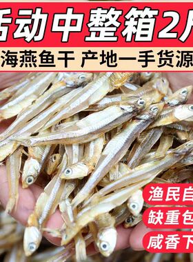 北海淡盐小鱼干干货海燕鱼干银鱼干自晒风干咸鱼干公干鱼毛毛鱼干