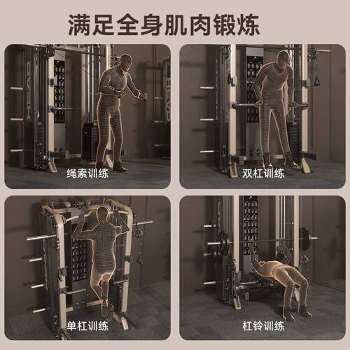 海德龙门架家用健身房器