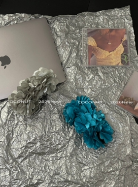 COCONUT 高品定制大号超绝氛围感花瓣发夹度假风一字夹香蕉夹发饰