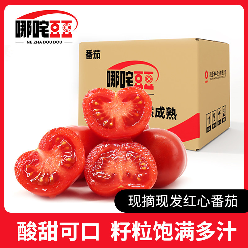 【哪咤豆豆】红心番茄自然熟西红柿可生吃即食水果小番茄新鲜蔬菜怎么看?