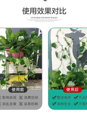 绿萝枝条爬藤固定器墙上绿植花藤夹长藤的夹子藤蔓爬墙卡子扣神器
