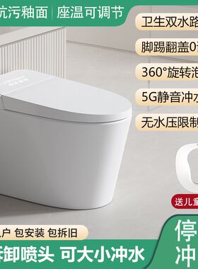 可拆洗喷头可大小冲水无水压限制卫生双水路停电可冲水智能马桶