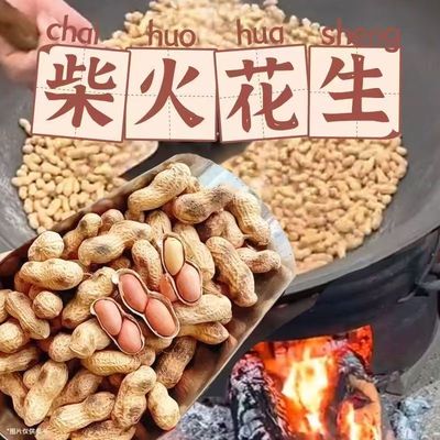 农家净重铁锅小珍珠花生柴火炒花生新货原味炒熟带壳零食夜宵饱腹