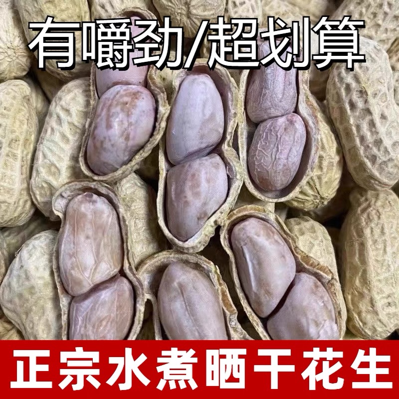 新货龙岩特产水煮白晒咸干湿烤带壳花生蒜香五香咸干原味花生米