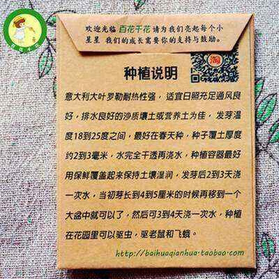 Italian large leaf basil seeds imported Italian Large Leaf B