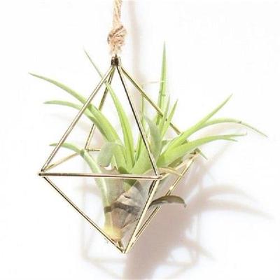 Freestanding Hanging Planters Geometric Swing Wrought Iron