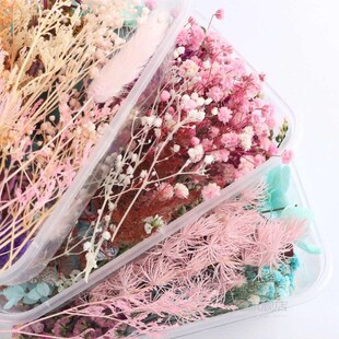 1 Box Real Dried Flower Dry Plants For greeting cards Aroma