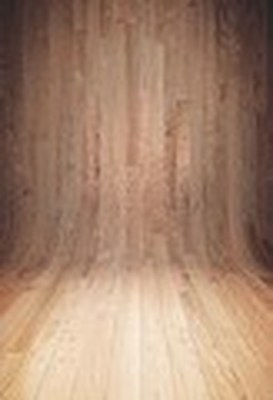 Laeacco Wood Backgrounds  Photography Planks Board Texture F