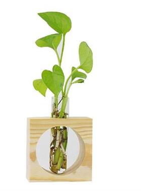 1pc Desktop Glass Vase Plant Terrarium Glass Bulb Bottle