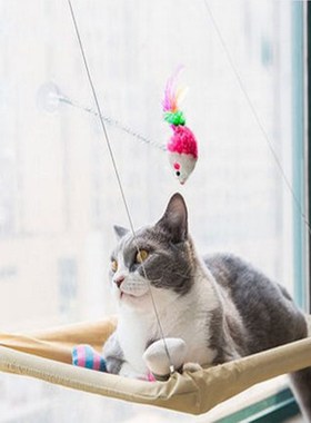 Bearing Hanging-Beds Pet-Bed Pet-Cat-Hammock Window-Mount Su